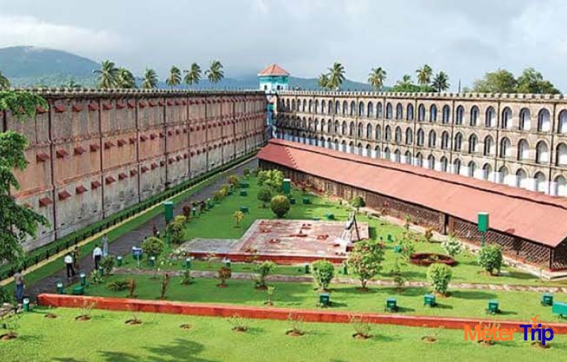 Cellular Jail