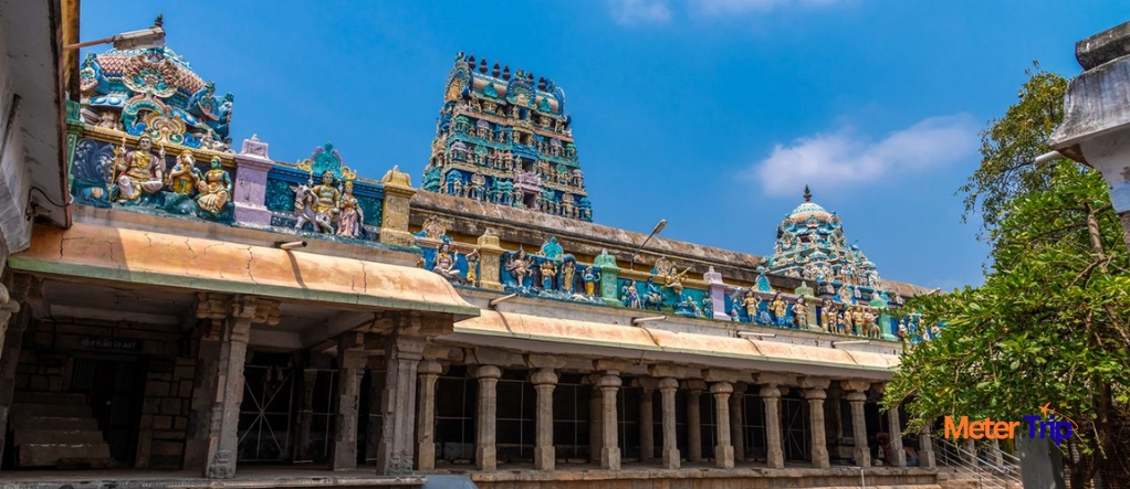 Thiruvaiyaru Festival