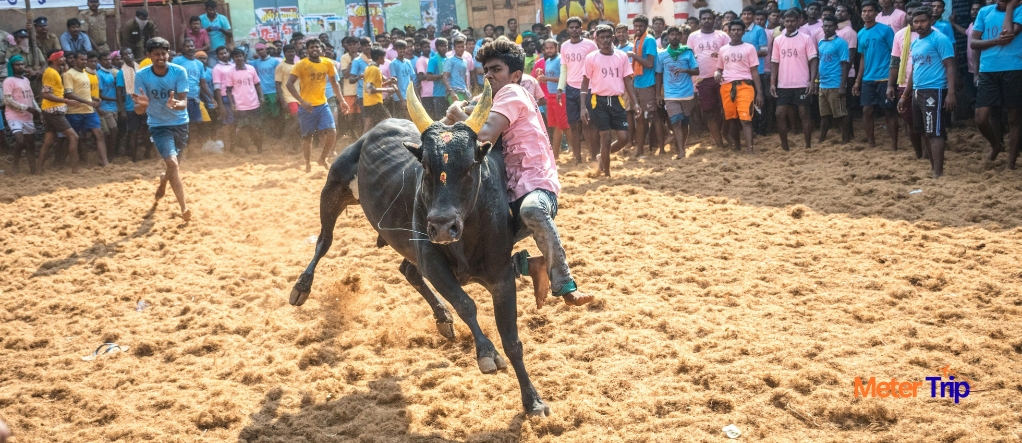 Tamil Nadu Culture