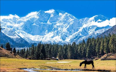 Eco-Tourism in India: Top Sustainable Travel Destinations