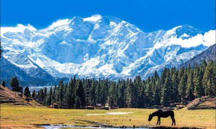 What I Wish Everyone Knew About These 7 Eco-Friendly Destinations