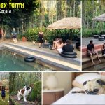 Best Vacation in Kerala Guide 2025