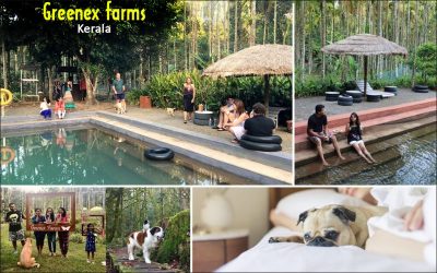 Best Vacation in Kerala Guide 2025