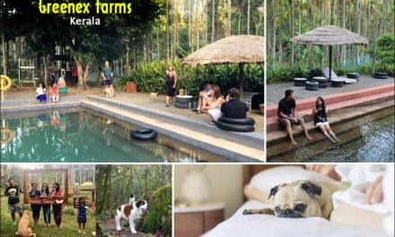 Travel God’s own city : Kerela ! Best vacation in Kerala!