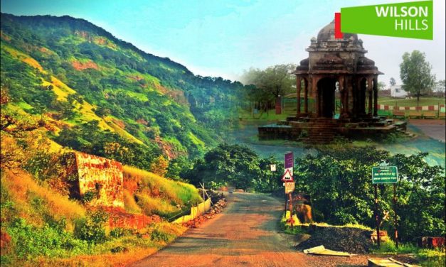 Top South India Hill Stations for a Perfect Getaway
