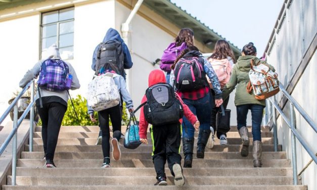 Educational Trips for Students: Fun & Learning Ideas