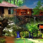 Best Tree Houses in India for a Unique Romantic Getaway