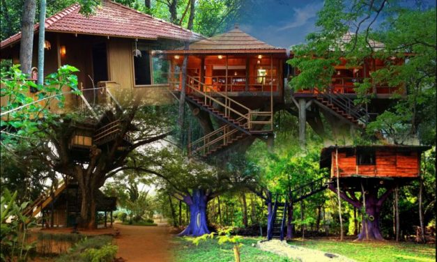 7 Best Tree Houses in India to Relive Childhood Days -metertrip