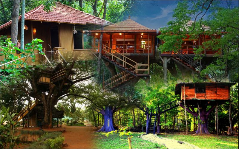 7 Best Tree Houses in India to Relive Childhood Days -metertrip