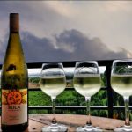 Wine Tours in India: Best Vineyards & Experiences