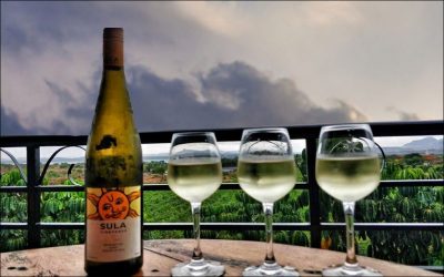 Wine Tours in India: Best Vineyards & Experiences