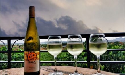 Why Everyone Is Talking About Wine Tours In India These Days?