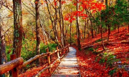 10 Awesome Places to Visit in October for Globetrotters