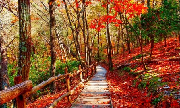 10 Awesome Places to Visit in October for Globetrotters