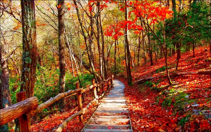 10 Awesome Places to Visit in October for Globetrotters