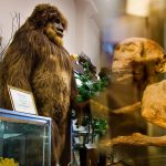 Strange Museums Around the World – Unique and Weird Attractions to Visit