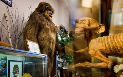 Strange Museums Around the World – Unique and Weird Attractions to Visit
