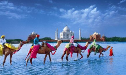 Taj Mahotsava 2020 Is Finally Here! Have You Made Your Plan Yet?