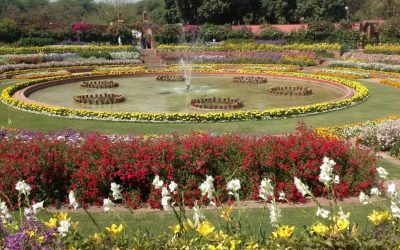 Mughal Garden Delhi – Complete Visitor Guide