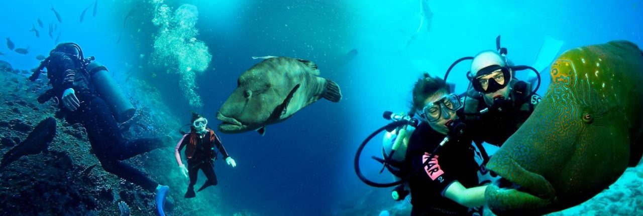 Ring of Fire Adventure Awaits You. Don’t Miss This Once-In-A-Lifetime Opportunity
