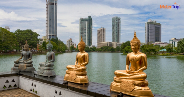 Your rough guide to Sri Lanka