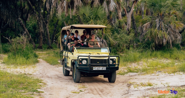 Everything you need to know about wildlife safari holiday destinations in India