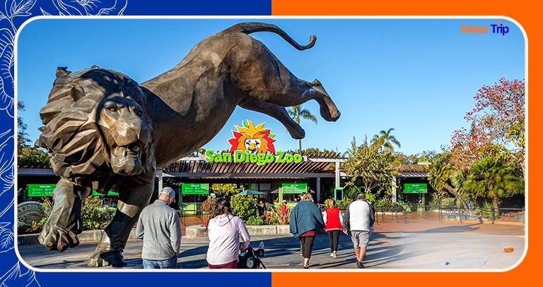 San Diego Zoo California USA: Complete Guide – metertrip