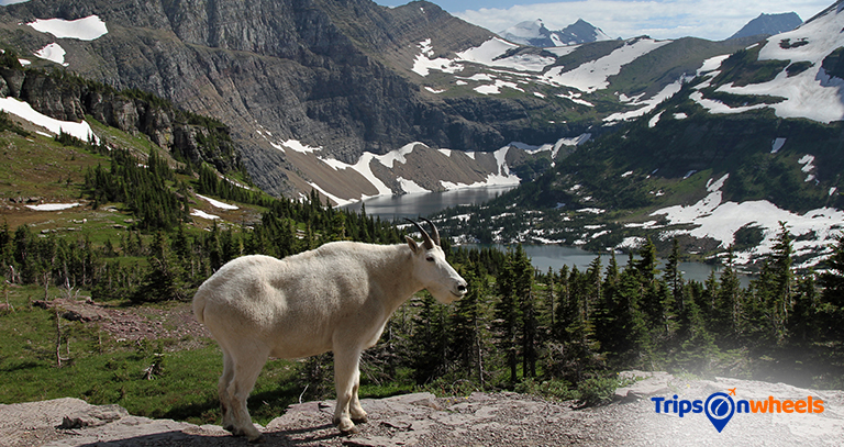 Glacier National Park - metertrip