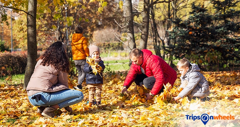 Outdoor Spots In The US For Families - metertrip