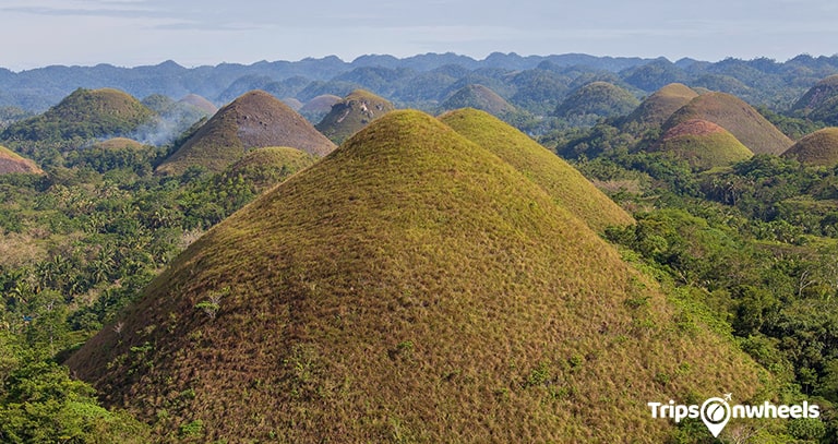 Chocolate Hills of Bohol Island, the Philippines - metertrip