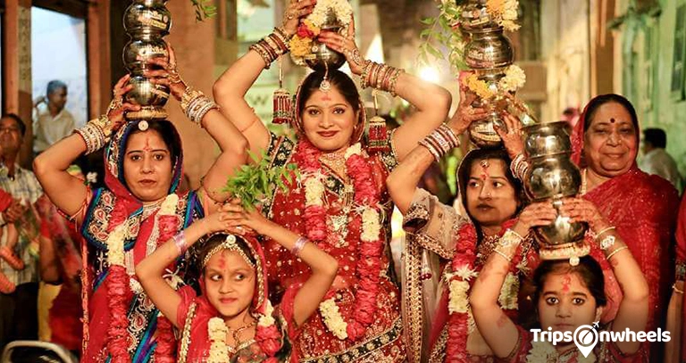 Festivals and Gastronomy - metertrip