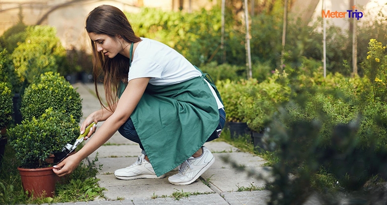 Gardening - metertrip