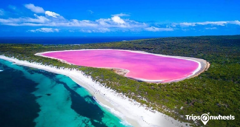 Lake Hillier, Western Australia - metertrip