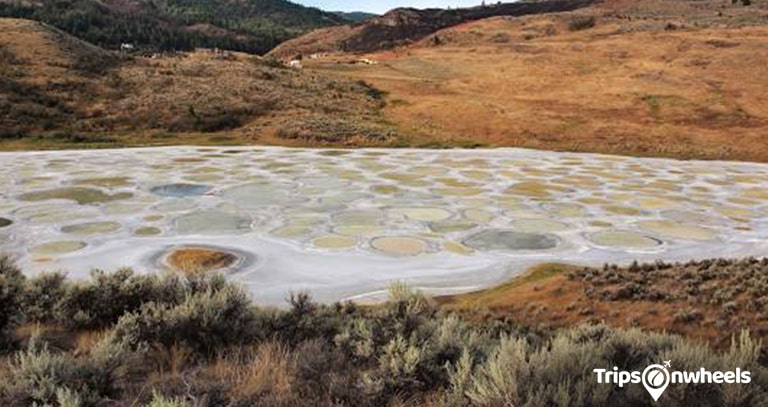 Spotted Lake, British Columbia - metertrip
