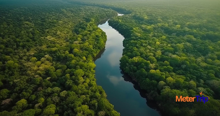 The Magnificence of the Amazon Rainforest - metertrip