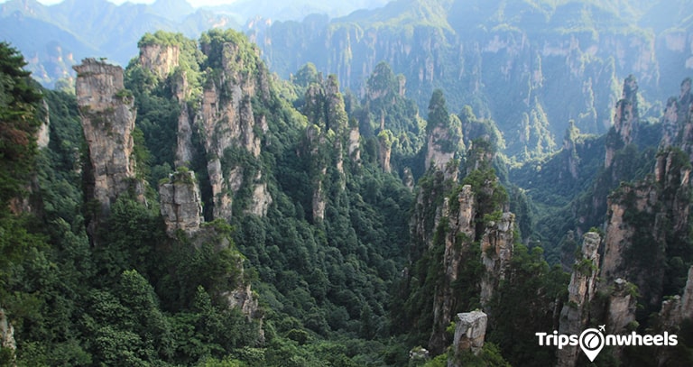 The Tianzi Mountains, China - metertrip