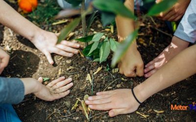 What You Can Do At Home To Celebrate Earth Day 2020 | 50th Anniversary Of Earth Day