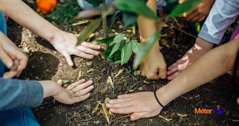 What You Can Do At Home To Celebrate Earth Day 2020 | 50th Anniversary Of Earth Day